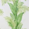 Palmetto Green-Ivory NCW4274-01